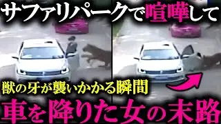 【実際の映像あり】サファリパークのカメラが捉えた閲覧注意のヤバい瞬間【他心霊映像】