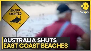 Australia: Rising Shark Attacks Force Australia to Close New South Wales Beaches | WION