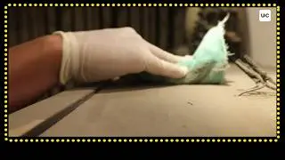 Ramadan Home Cleaning with Urban Company