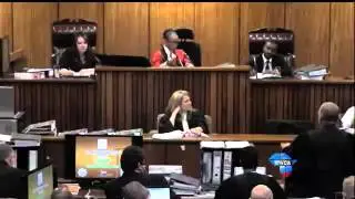 Oscar Pistorius Trial: Nel accuses Pistorius of changing defence