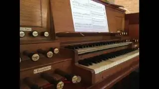 Galston - Concert preview 30 July 2017