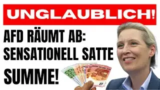 1,5 Millionen Euro - AfD erh&auml;lt gr&ouml;&szlig;te Spende ihrer Parteigeschichte!