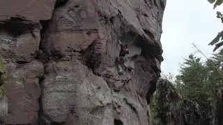 Jungturm/Pfalz - Katapult (8/7a)