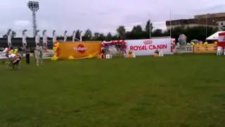 VIDEO0094
