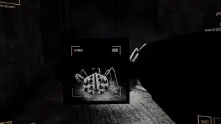 The Itsy Bitsy Spider