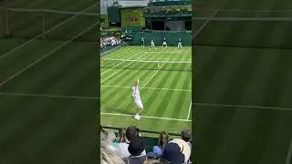 Does John Isner have the greatest serve of all time? #serve #isner #tennis
