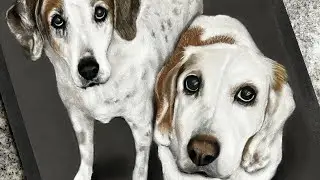 Drawing two dogs in soft pastels - by Karen Governale