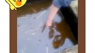 Сунет руку в гомно