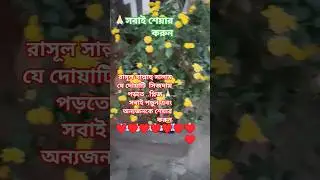 #islamic video#viral #tending #short#video💞