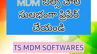 TS MDM SOFTWARES