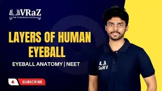 Layers of Human Eyeball | Eyeball Anatomy | NEET |