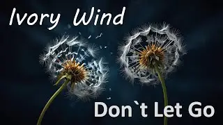 Ivory Wind - Don't Let Go (70s 80s europop)
