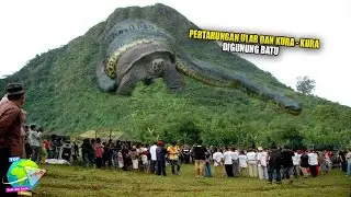 Pert4run9an Kura Kura Dan Ular Raksasa di Gunung Batu Jonggol !! Hingga Kini Warga Mencari Jejak...