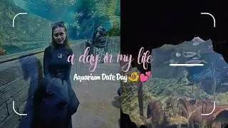 A Day in My Life  |   Aquarium Date