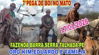 [DRONE]7°PEGA DE BOI NO MATO FAZENDA BARRA SERRA TALHADA-PE ORG KIM E EDUARDO. 17/01/2026.