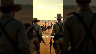 1932 году в Австралии началась эму война #shorts​ #facts​ #subscribe​ #video​ #shortvideo​