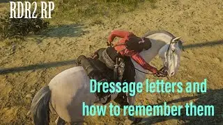 Dressage letters and how to remember them (for RDR2 Dressage)