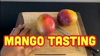 Tommy Atkins Mango tasting
