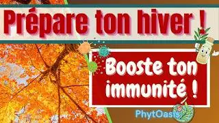 Ravintsara , Tea tree, Eucalyptus, comment  ne jamais tomber malade !
