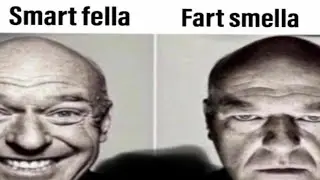 smart fella or fart smella
