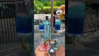 bombay Gin is best gin #gin #review #wine #sehar #vodka
