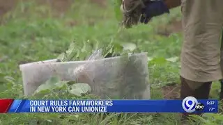 Court rules farm workers in NY can unionize