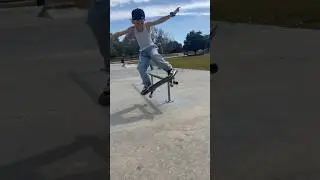 🎱MAVERICK 🛹 RIPPING FLO-SK8 PARK🎱 #shortsfeed #skateboarding #fypシ #status