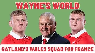 WALES WORLD CUP SQUAD ANNOUNCED | REACTION