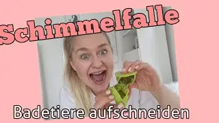 Schimmelfalle Badetiere/Spritztier Achtung Eltern - Ich schneide ein Gummitier auf und war geschockt