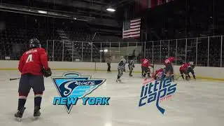 2006 New York Saints AAA 14U vs. Washington Little Capitals (3 - 2) *GAME 2* Highlights