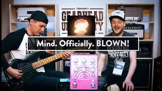 Adam Neely + EQD Rainbow Machine = MIND BLOWING!