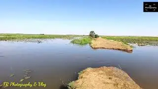 নাইজার নদীতে একদিন।। Niger River