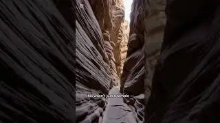 This ancient city was lost for 1,000 years 😮 #petra #ancienthistory #worldwonders  #shorts