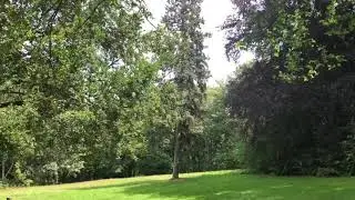 Schloss Leubnitz im Vogtland
