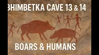 BHIMBETKA CAVE 13 & 14 : Boars and a live Snake!