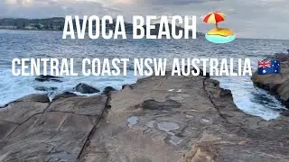 AVOCA BEACH 🏖 CENTRAL COAST ,NSW AUSTRALIA 🇦🇺🇦🇺🇦🇺