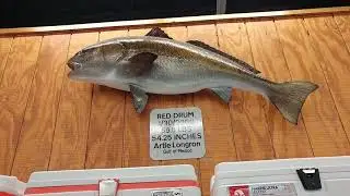 Tackle town of Rock Port Texas has got our gear and if they don't let them know we will get it there