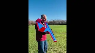 Fun Bat Genre RC Scratch Built Foamie