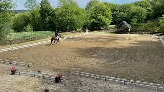 Reprise niv 1.5 à Spa le 20/08/22, Lenox Du Hameau Du Bois