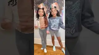 The life of twin sisters 👯
