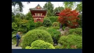 California, San Francisco, Lombard Street  Tour