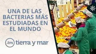 Tierra y Mar | Agricultura de vanguardia