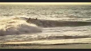 VICTORIA SKIMBOARDS - Melaque Mexico skimming - 2015 - Teddy V, Jack H, Johnny S