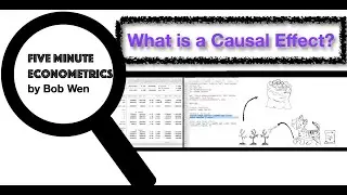 What Is A Causal Effect? |【Five Minute Econometrics】Topic 2