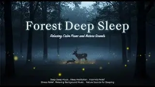30 Minutes Deep Sleep Music 🌙 Forest Night Ambience with Cricket Sounds | Relax & Sleep Better