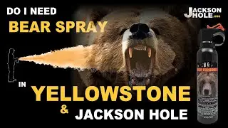 BEAR SPRAY in Yellowstone and Jackson Hole