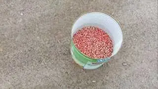 100.000 match heads. 100.000 Streichholzk&ouml;pfe.mp4