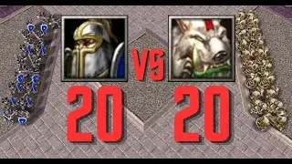 20 Footman VS 20 Shaman - Unit battle Warcraft III