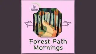 Harmony in the Forest: Jazz Clouds of Calm
