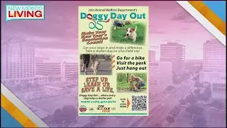 Albuquerque Animal Welfare Department launches Doggy Day Out program